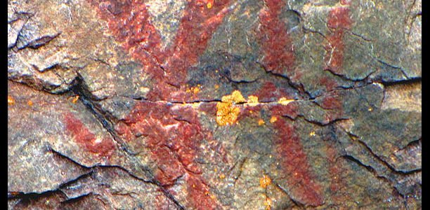 Nanabozho | Wabino Medicine