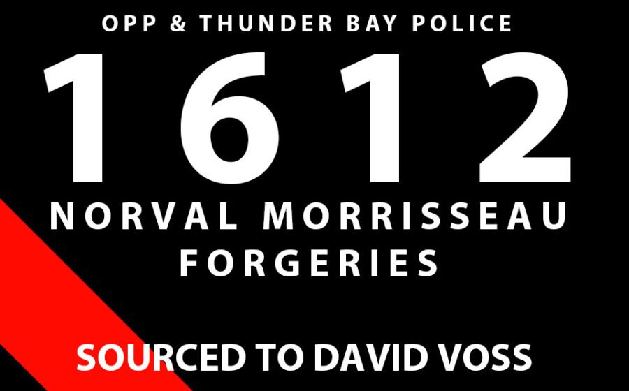 Mass Cultural Desecration and the David Voss Guilty Plea